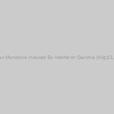 Image of Human Monokine Induced By Interferon Gamma (MIg)CLIA Kit
